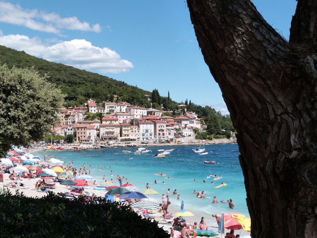 Тематическое фото pxhere.com