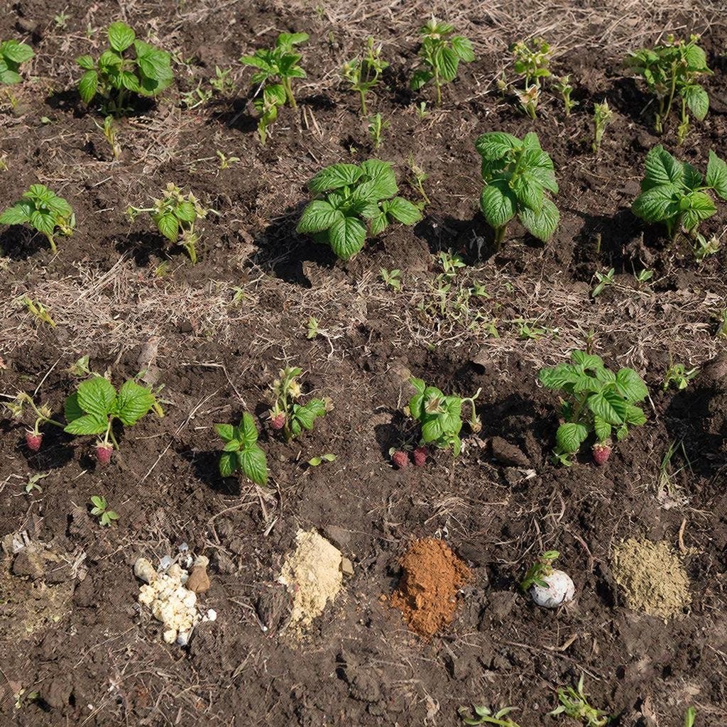 Тематическое изображение ГигаЧат (18+)