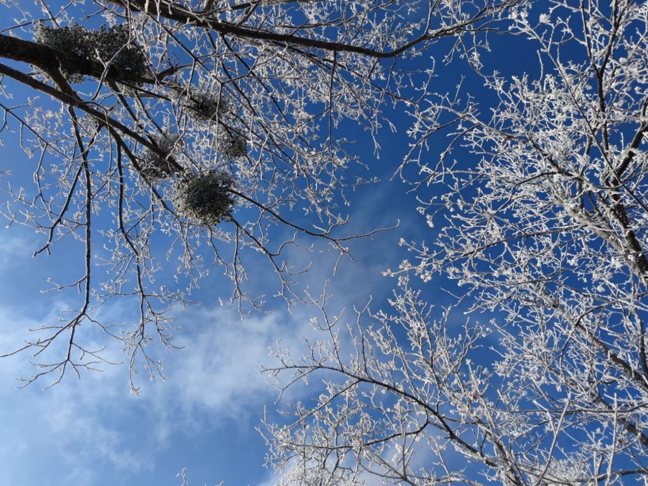 Гороскоп на 29 марта: Доверяйте фактам, а не эмоциям Артём Хорошилов  , ИА Stavropol.Media