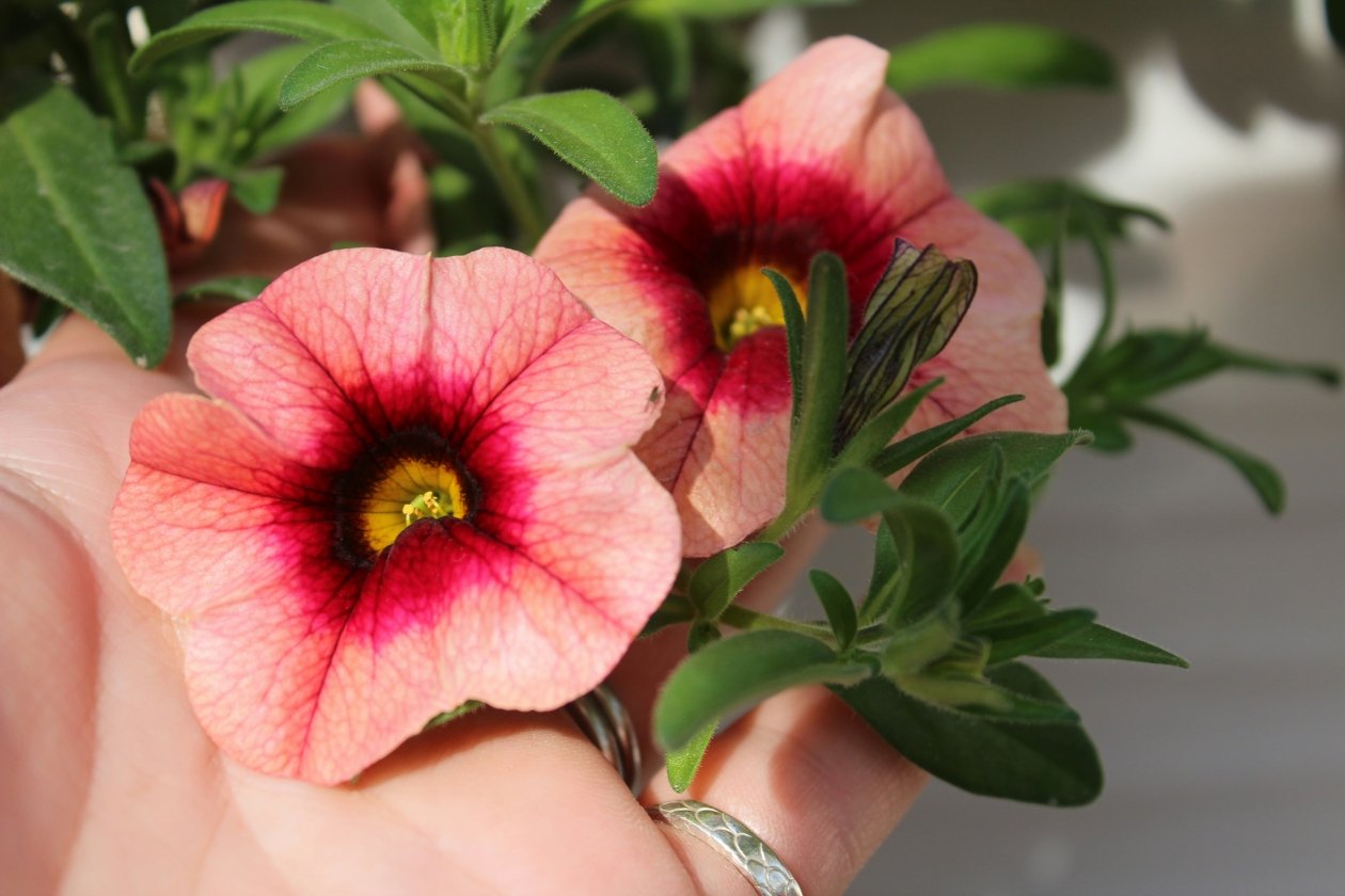 Тематическое фото unsplash.com