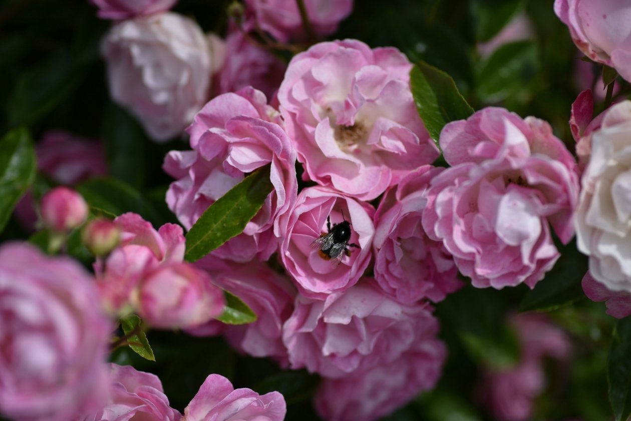 Тематическое фото unsplash.com