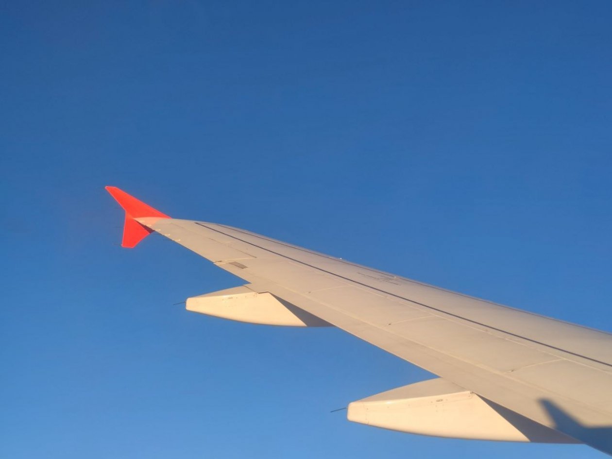 Ложное сообщение о бомбе на борту самолёта обернулось сроком на Ставрополье ИА Stavropol.Media