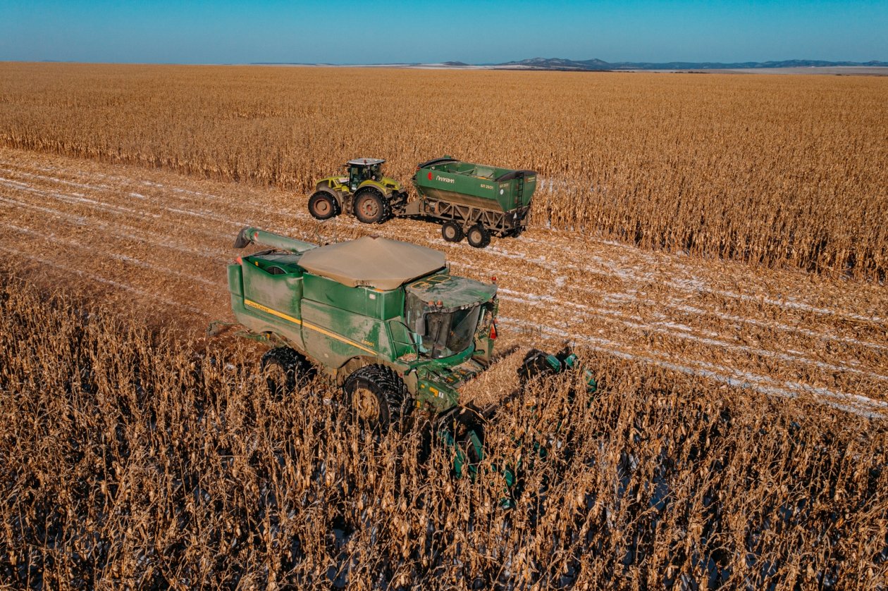 Искусственные дожди помогут снизить зависимость фермеров от стихии - эксперт Мария Смитюк