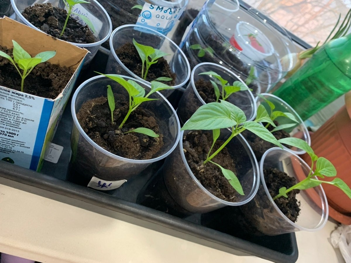 Тематическое фото Фото автора