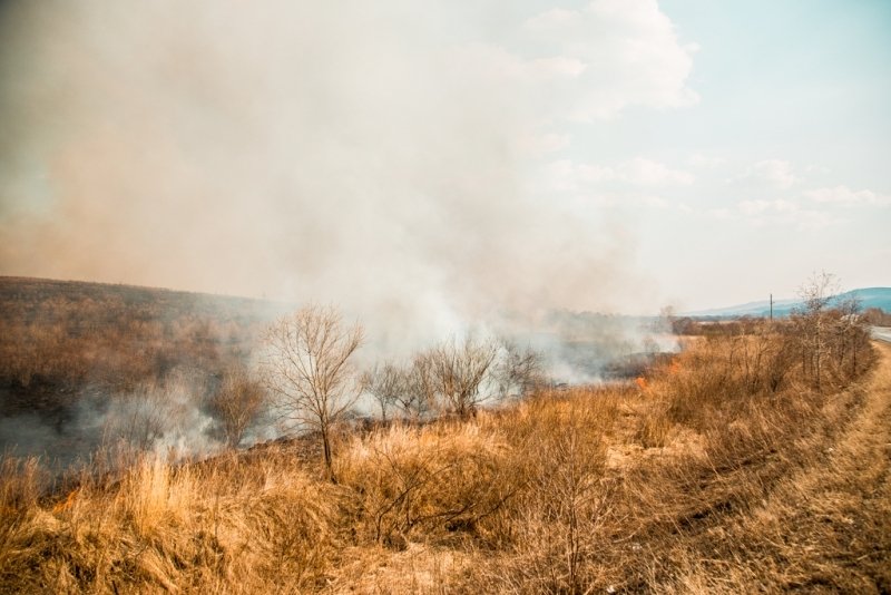Тематическое фото Юлия Никитина, ИА PrimaMedia