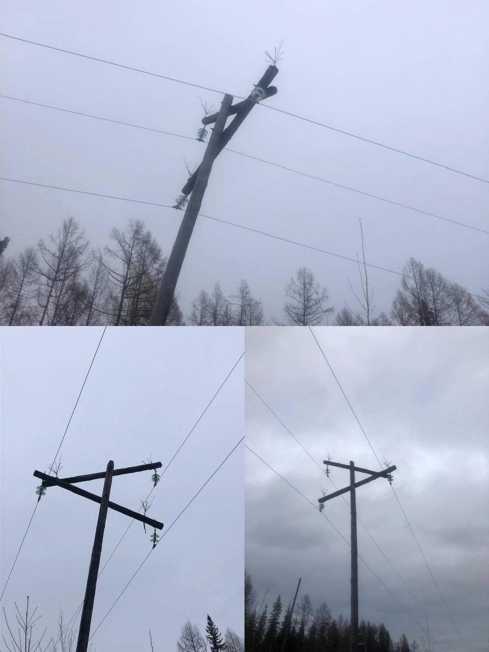 В Усть-Илимском районе ЛЭП оборудовали птицезащитными устройствами пресс-служба Байкальской межрегиональной природоохранной прокуратуры