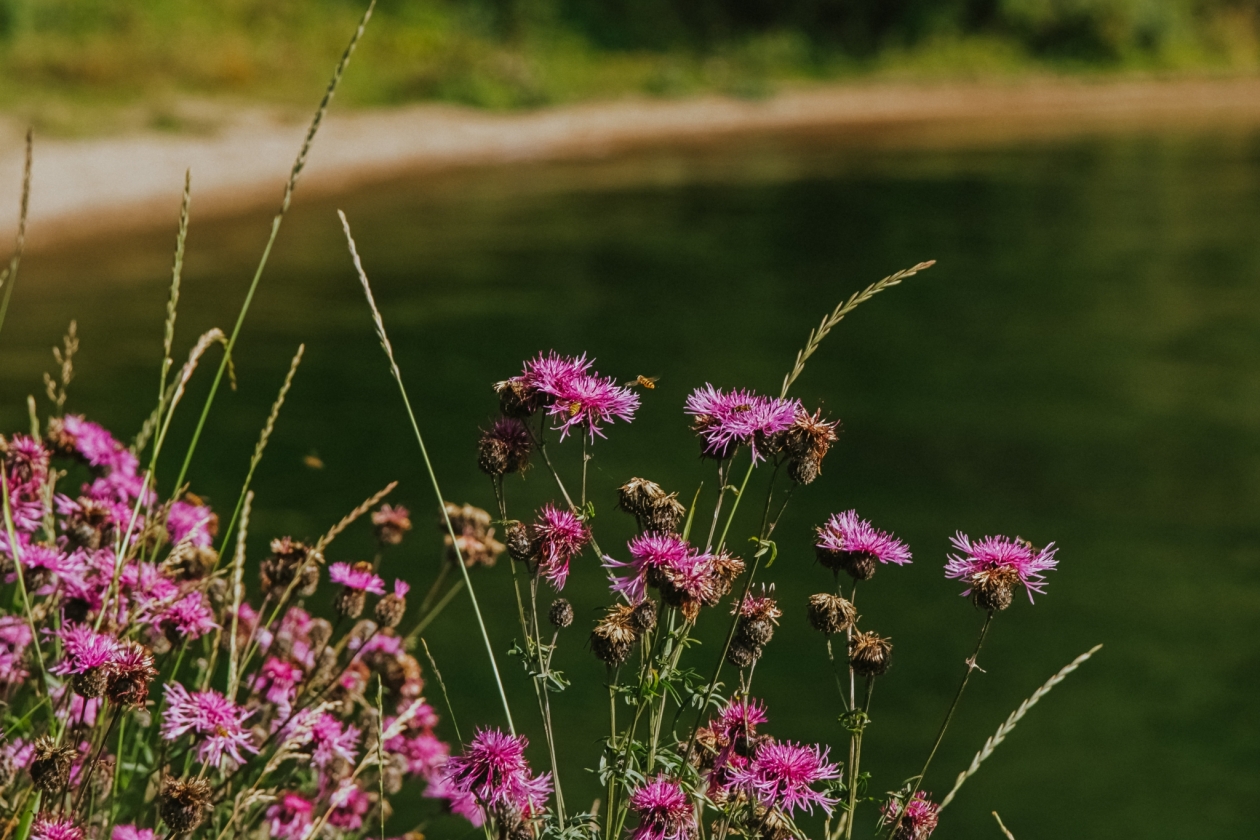 В Приангарье создали охраняемую территорию размером с целый мегаполис — но для чего? Юлия Ушакова, ИА IrkutskMedia