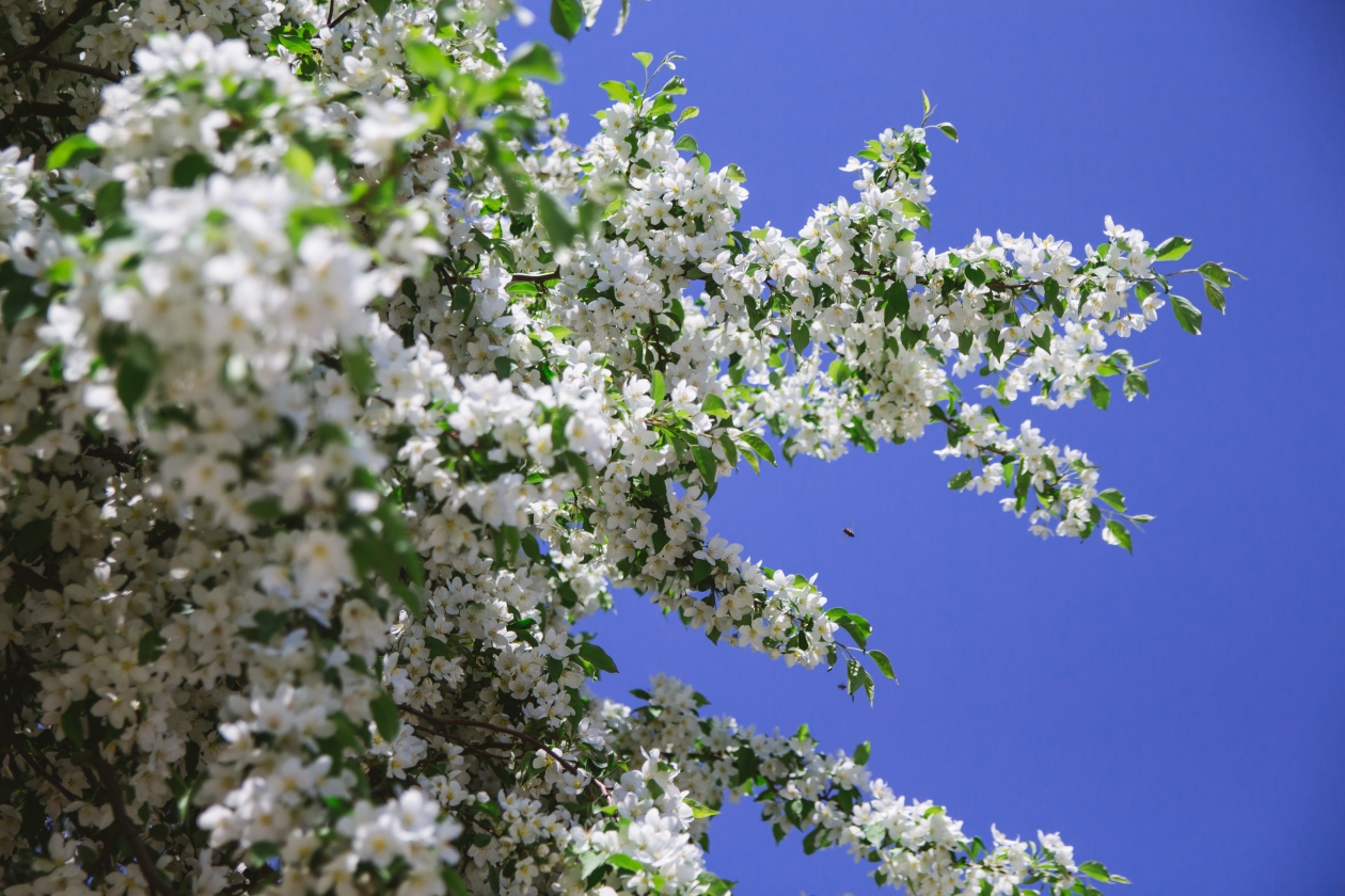 Метеорологи дали прогноз с сюрпризами на второй месяц весны Владислав Беляцкий, ИА SakhalinMedia