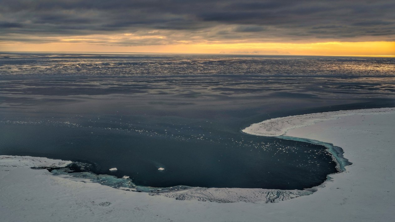 Тематическое фото Юлия Егорова