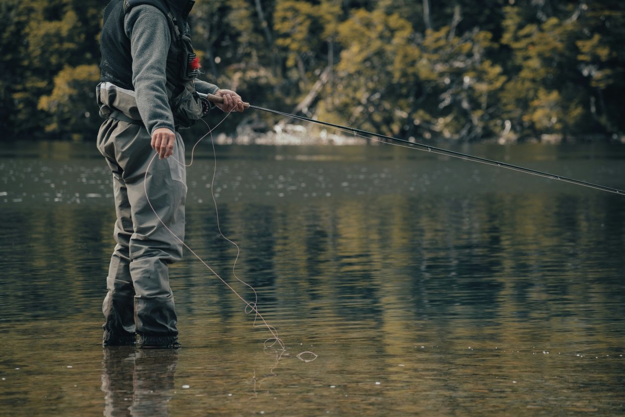 Где искать рыбу после паводка: 3 рабочих места gaspar zaldo / unsplash