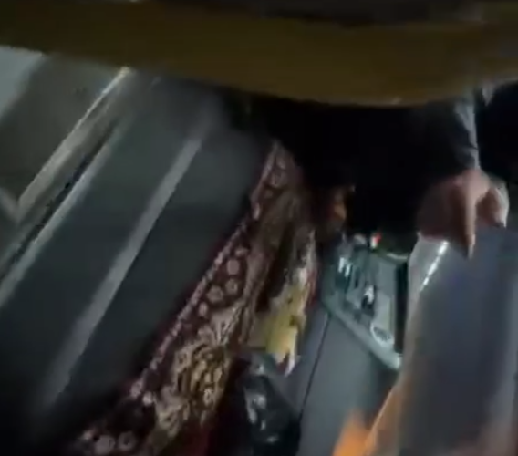 Скриншот из видео тг-канал &quotussur_mikh_kray&quot (18+)