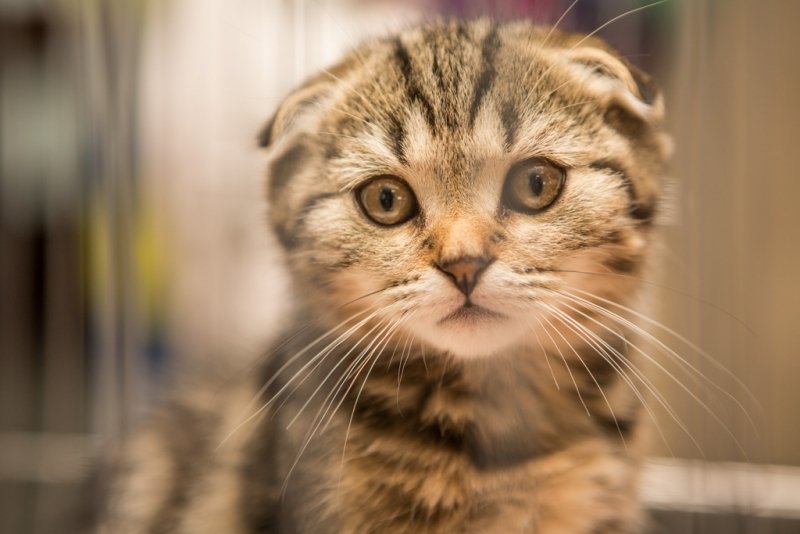 тематическое фото ИА ЕАОMedia