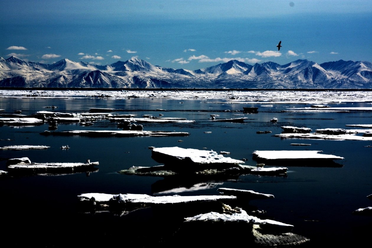 Тематическое фото Людмила Шубина