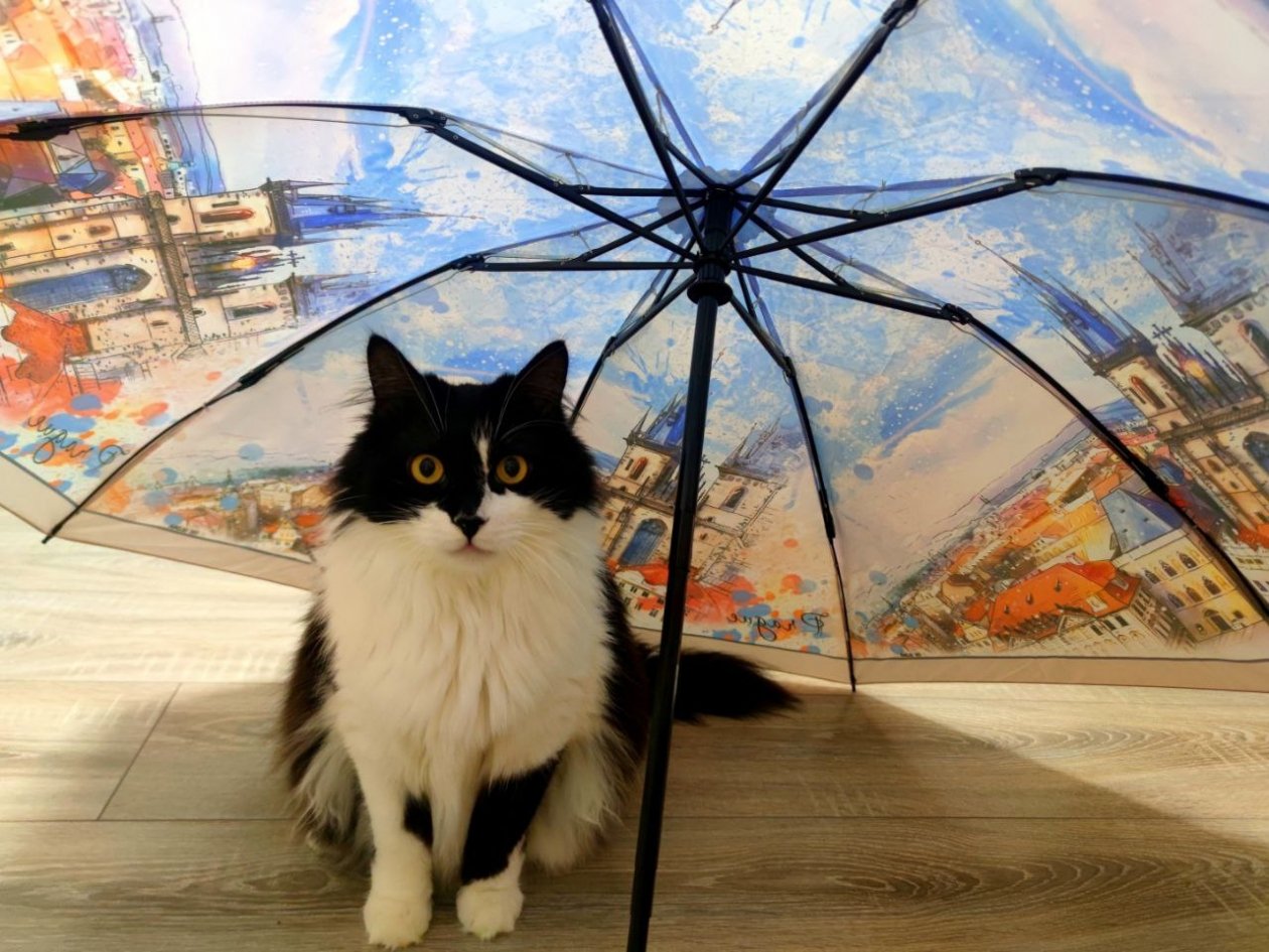 С дождей начнется новая рабочая неделя на Ставрополья ИА Stavropol.Media