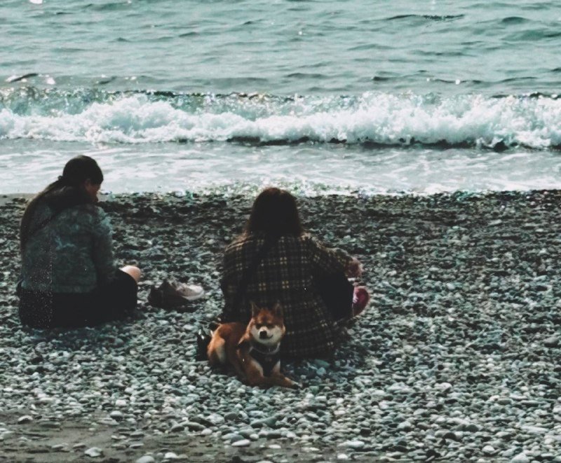 Сочи за 4 дня: как мы отдохнули и потратили всего 14 000 рублей ИА StolicaMedia