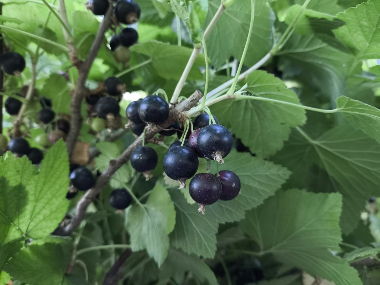 Тематическое фото ИИ Qwenlm.a (18+)