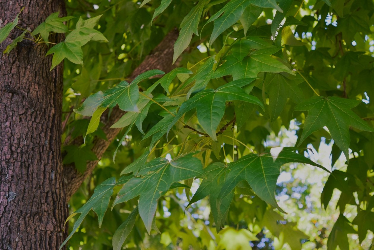  Ch Photography on Unsplash