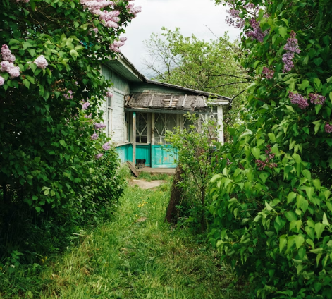 Тематическое фото Unsplash.com (18+)