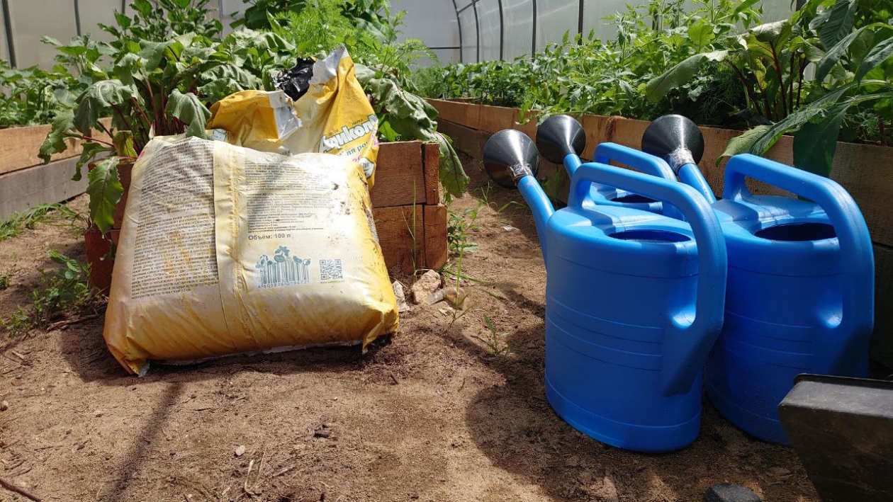 Тематическая фотография ИА EAOMedia