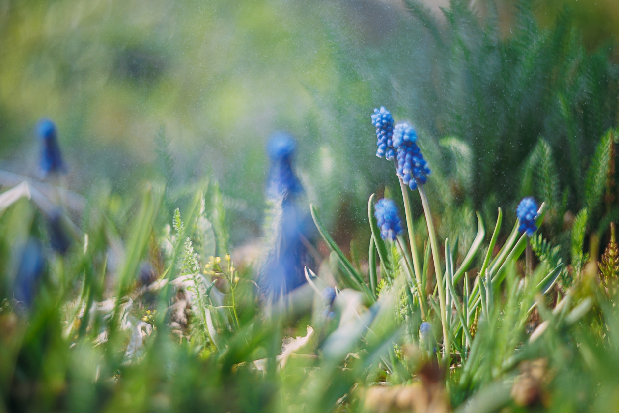 . Мария Смитюк, ИА PrimaMedia