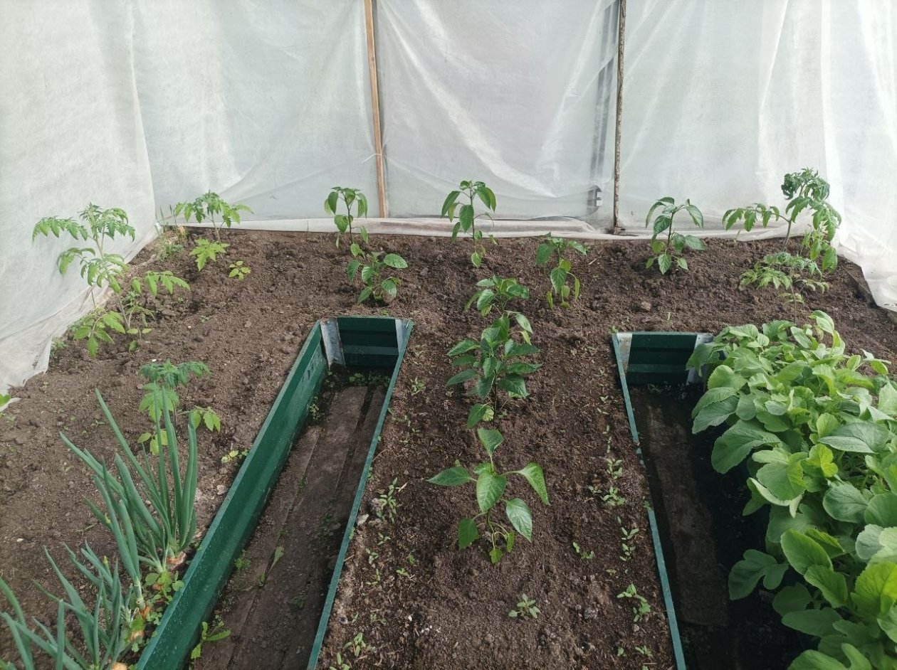 Тематическое фото Фото автора