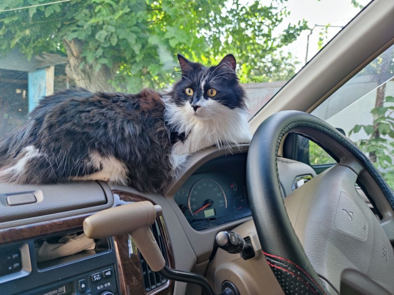 41% водителей укладываются в расходы до 10% от зарплаты Елена Гиневская, ИА Stavropol.Media