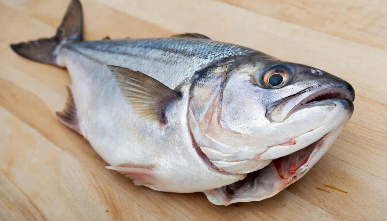 Тематическое фото GigaChat (18+)