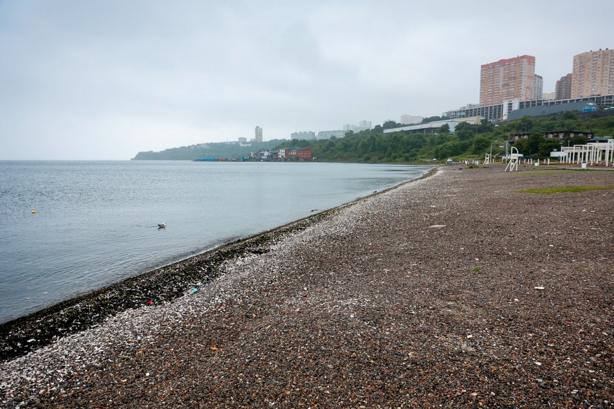 Тематическое фото Илья Аверьянов, ИА PrimaMedia.ru