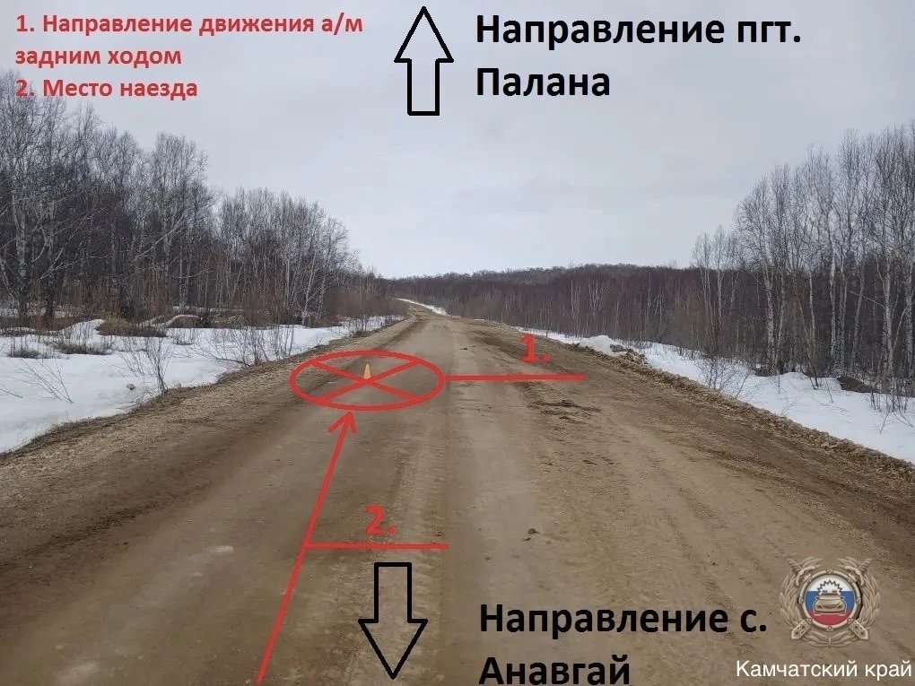 Госавтоинспекция по Камчатскому краю