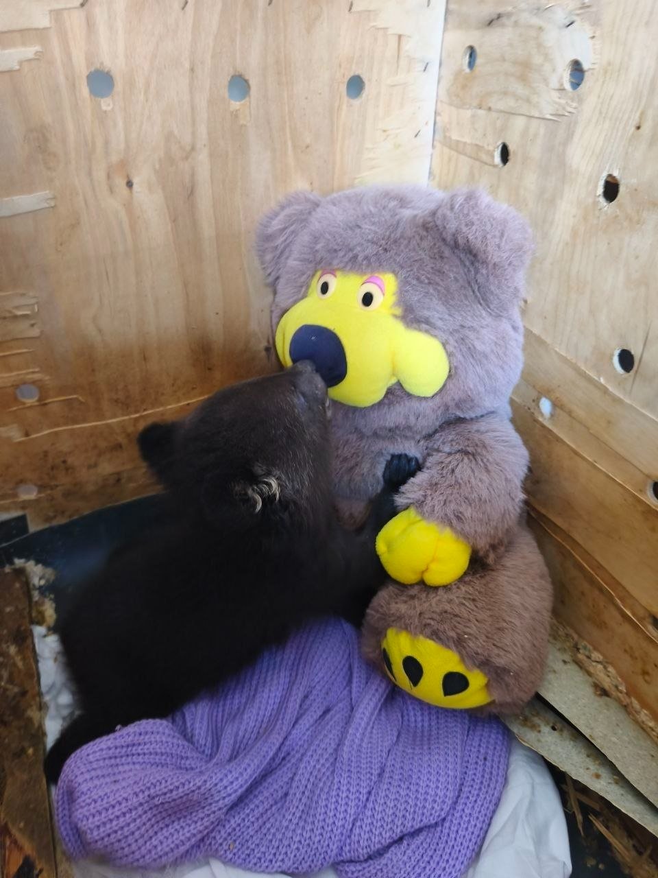 Пресс-служба Центра