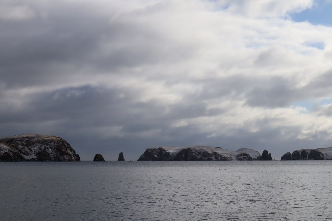 Варвара Карпова