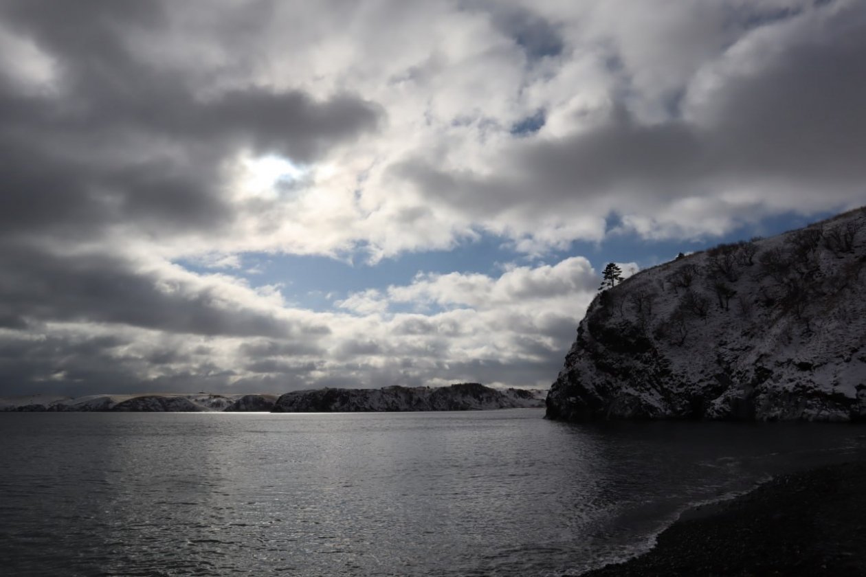 Варвара Карпова