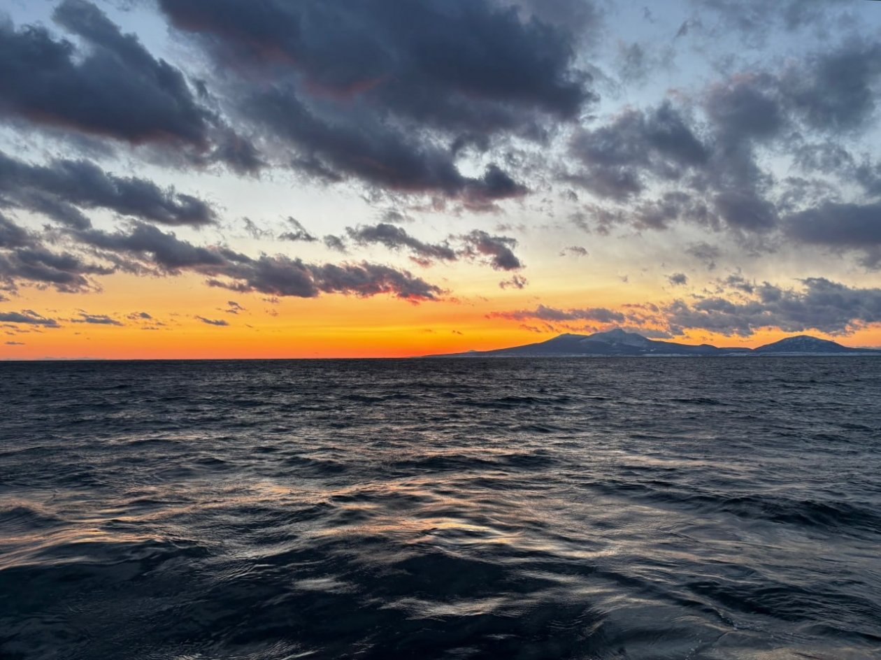 Варвара Карпова