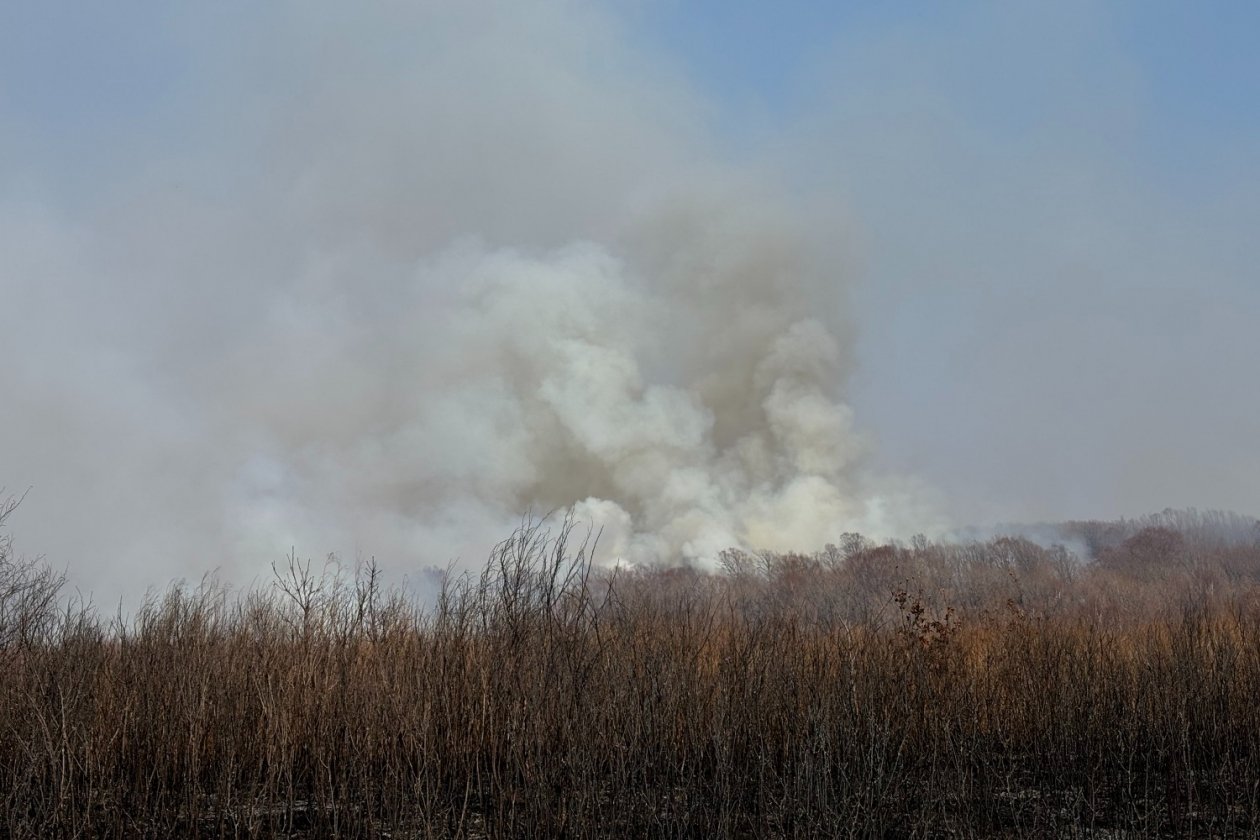 Девять пожаров потушили за сутки в Приморье ресс-служба Министерства лесного хозяйства, охраны окружающей среды, животного мира и природных ресурсов Приморья