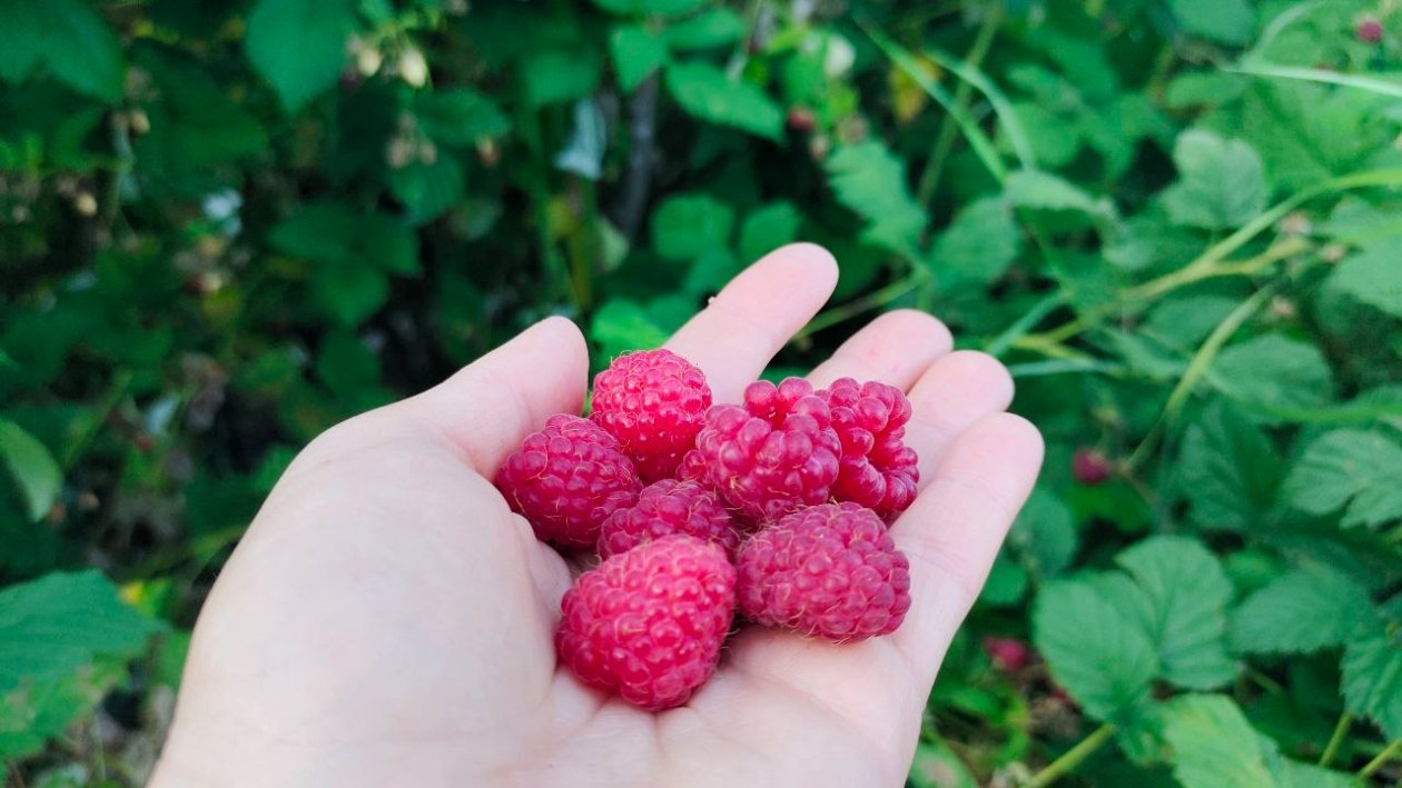 Тематическое фото ИА StavropolMedia