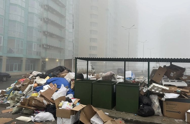 Во Владивостоке выявлена крупная несанкционированная свалка КГУП &quotПриморский экологический оператор&quot