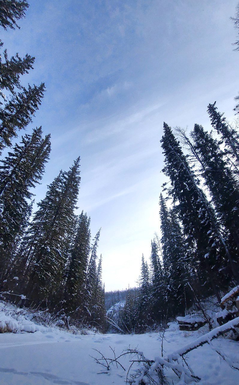 Гороскоп на 1 апреля: Возникнут ситуации, требующие быстрой реакции ИА YakutiaMedia