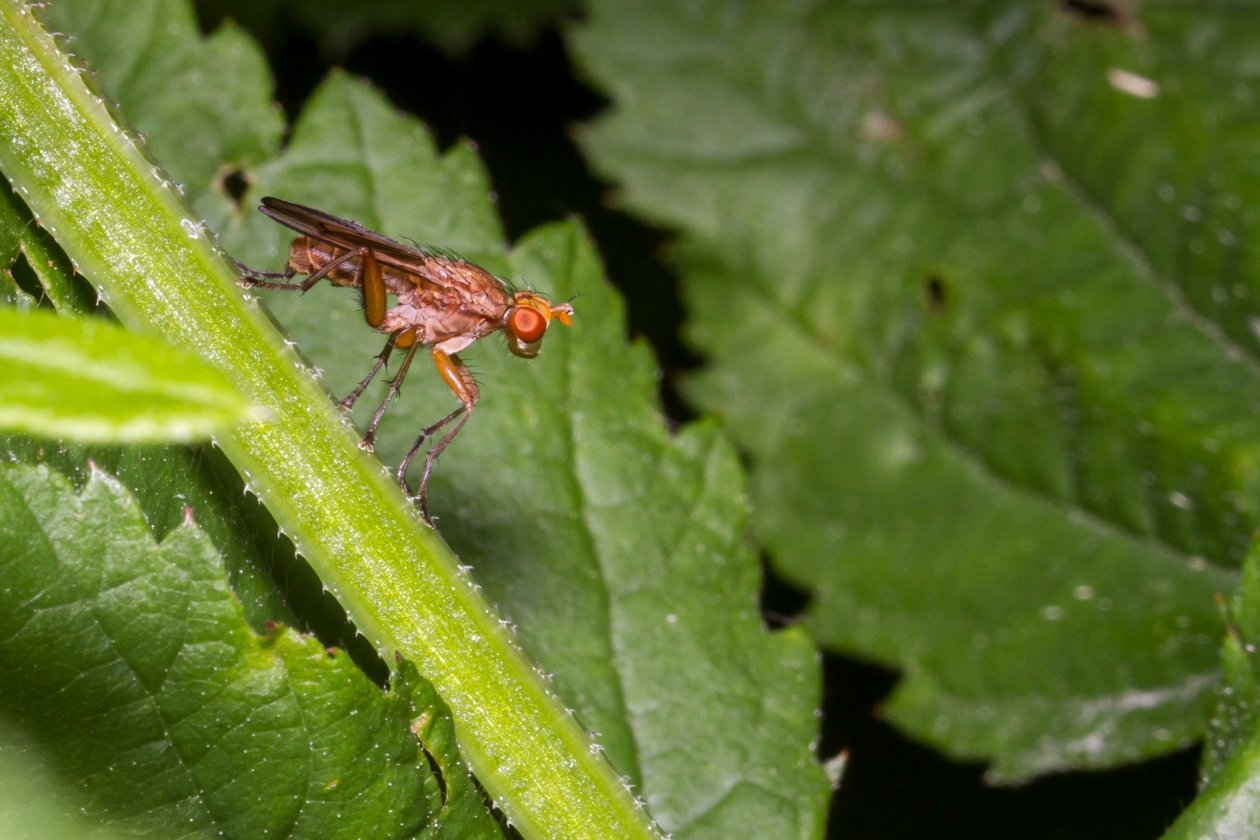 Тематическая иллюстрация Photo by form PxHere