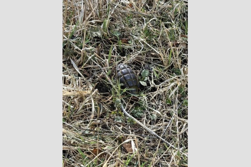 Гранату нашли в районе Олимпийского комплекса в Кисловодске Соцсети Е. Моисеева