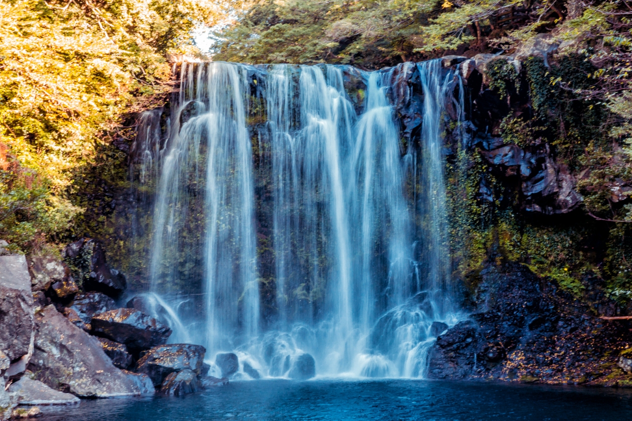 Турция, Грузия или Сербия: где дешевле отдохнуть в 2026 году - без визы Мария Смитюк, ИА PrimaMedia