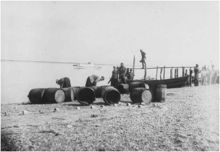 из фондов КГБУ ККОМ