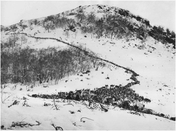 из фондов КГБУ ККОМ