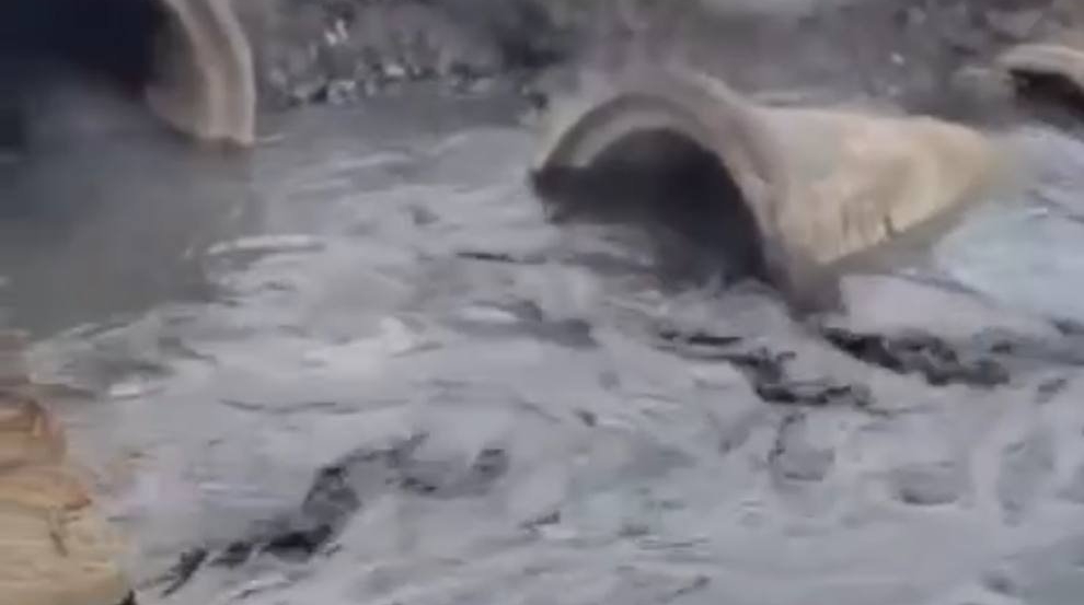 Тематическое фото ТГ-канал (18+) &quotЭколог Сидоров&quot