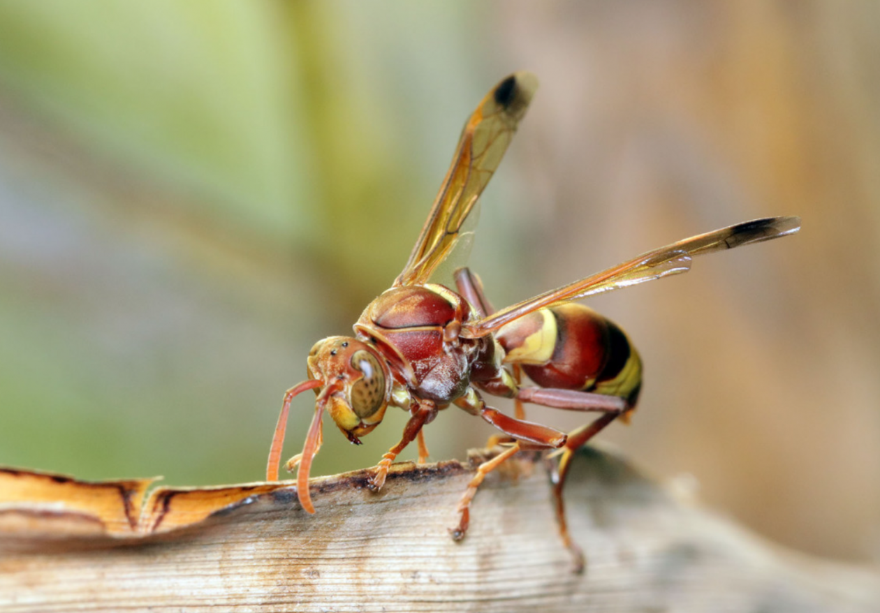 Тематическое фото Сайт pxhere.com