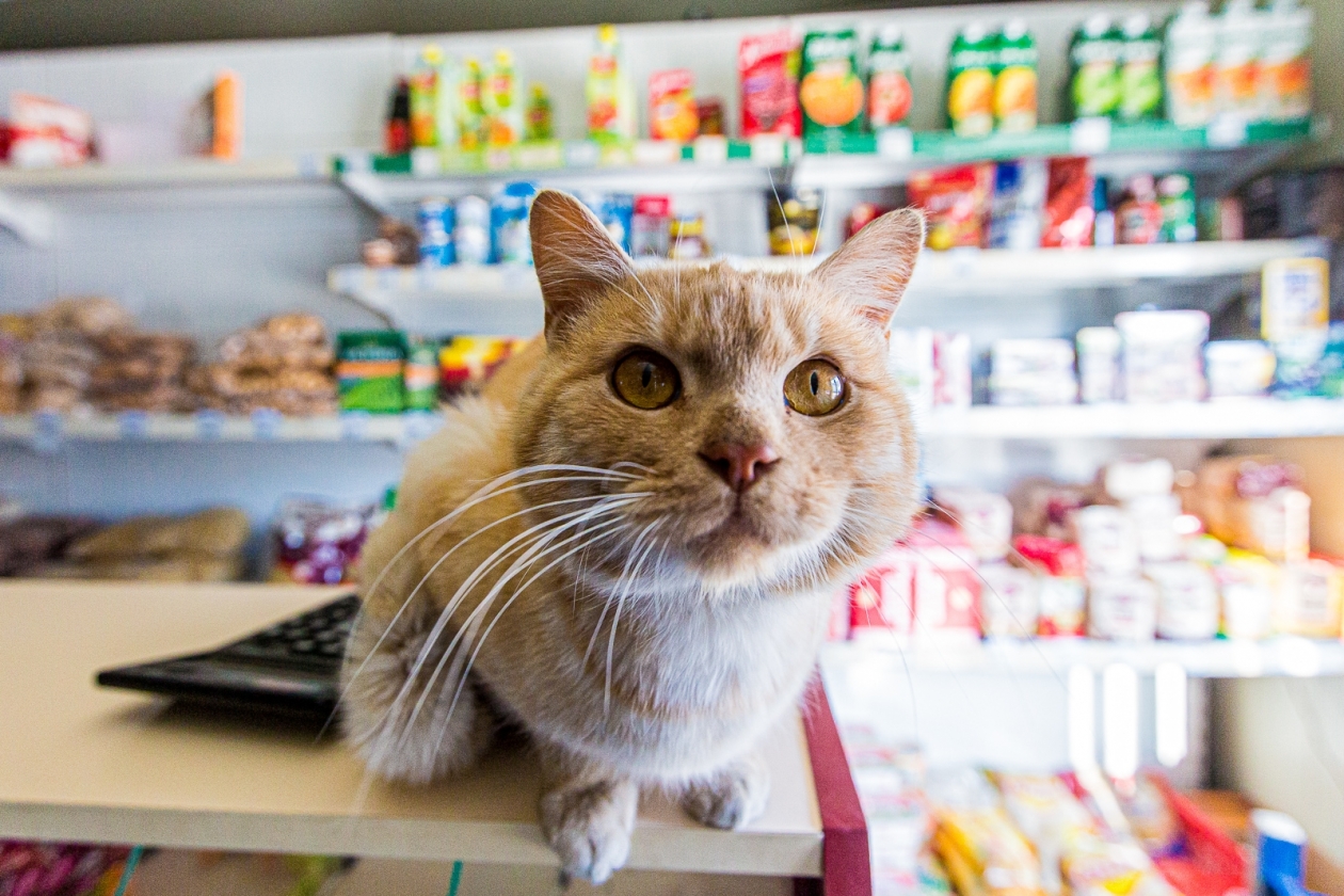 Тематическая фотография ИА PrimaMedia