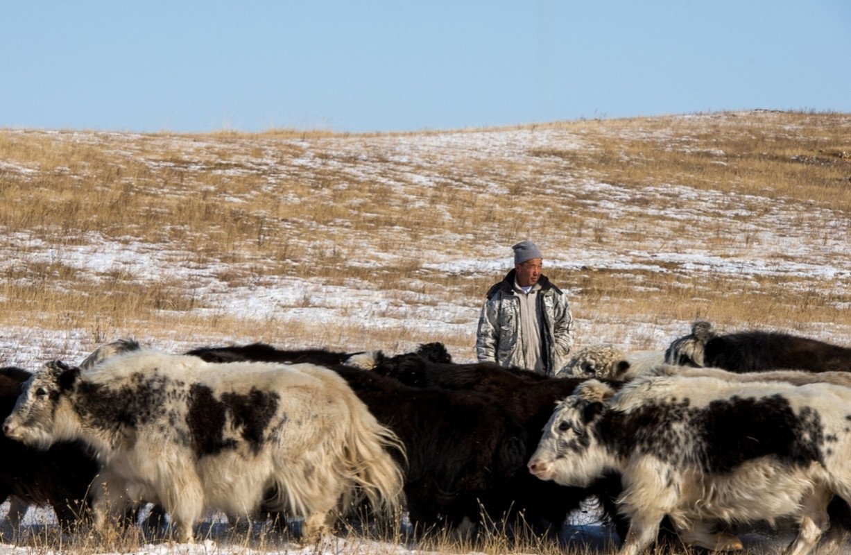 Скот правительство Иркутской области