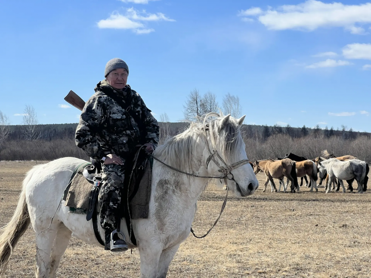 Фермер спас табун лошадей от стаи волков в Бурятии Минсельхоз Бурятии
