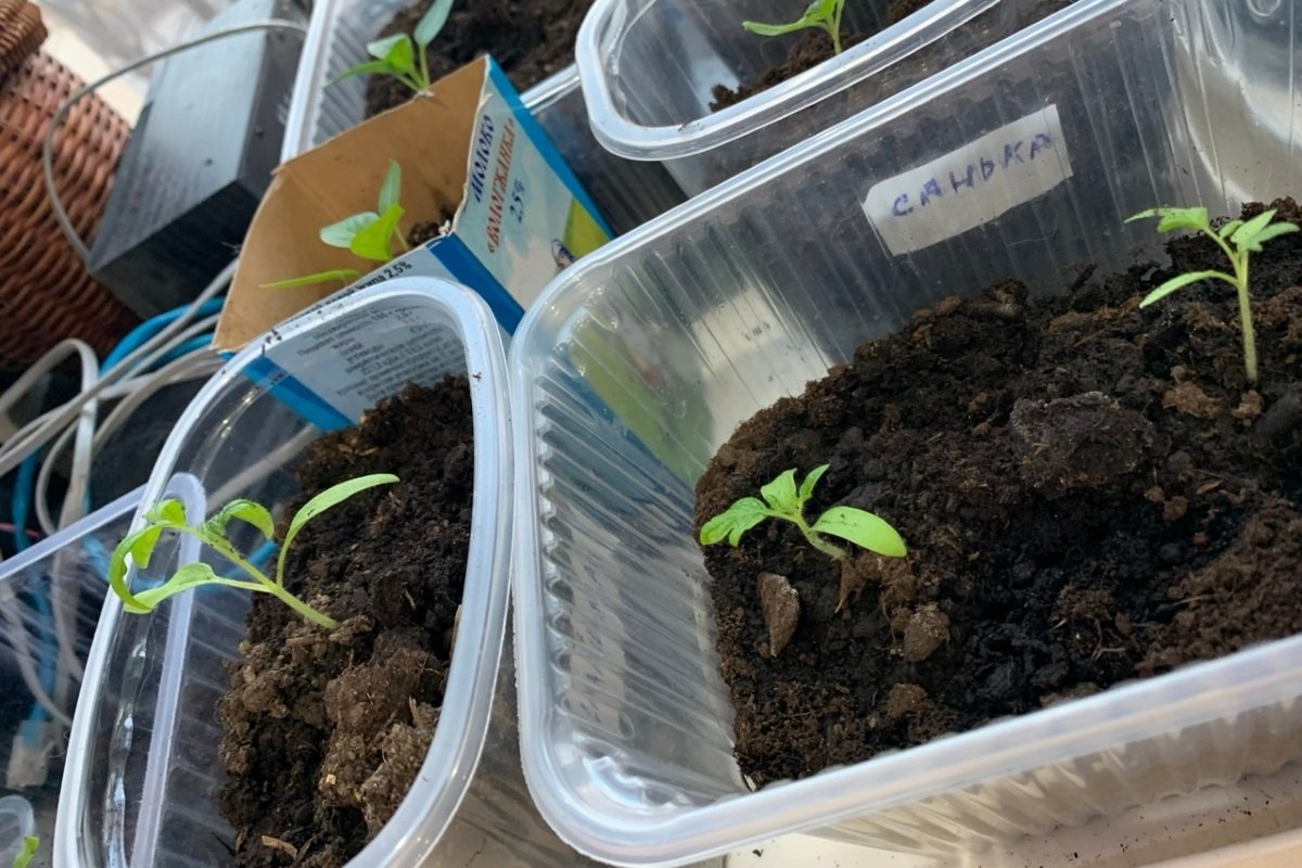 Тематическое фото Фото автора