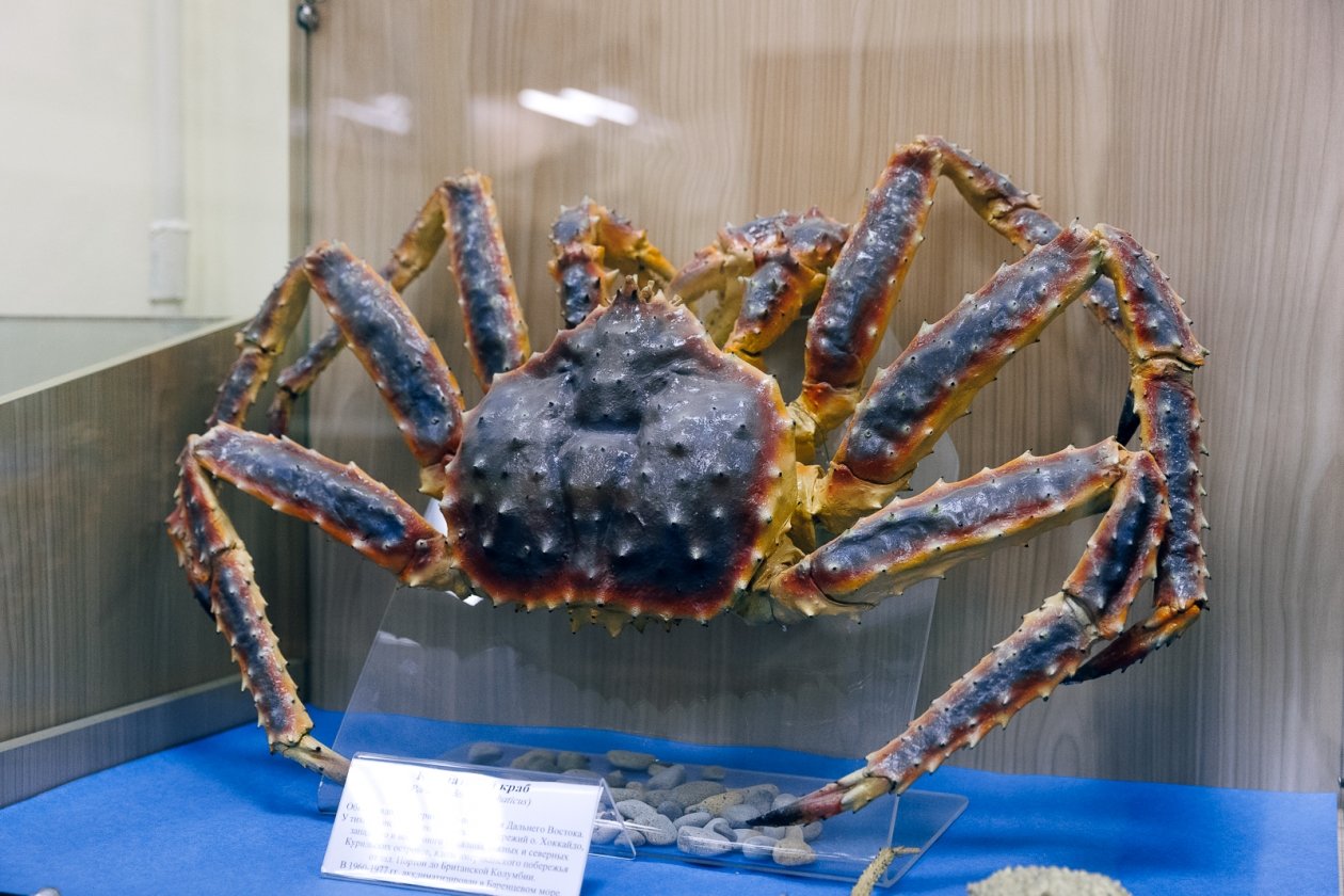 Евгений Кулешов, ИА PrimaMedia.ru