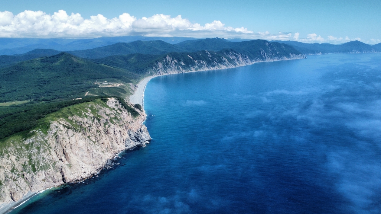 Виталий Гречанюк, ИА PrimaMedia.ru